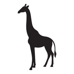 Fototapeta premium Simple Giraffe Silhouette Vector on white background