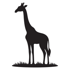 Fototapeta premium a black silhouette of a giraffe standing on grass