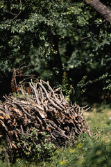 A pile of folded wood. Prepared firewood. Wooden branches collected for the fire