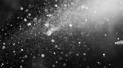 Obraz premium Ethereal Snowfall: A Winter Wonderland Captured in Monochrome