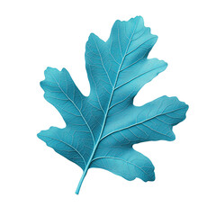 Fototapeta premium A vibrant blue oak leaf isolated on transparent background, showcasing intricate details and textures.