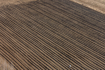 Fototapeta premium Harvest-ready Farmland Showcasing Beautifully Plowed Soil Patterns Under the Warm Afternoon Sun in a Tranquil Rural Setting
