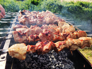 Meat skewers on the grill