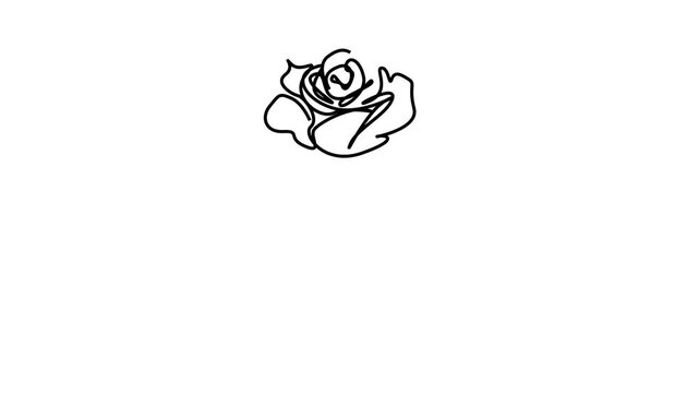 Continuous Line Drawing Of Rose Flowers Black Sketch Isolated on White Background. Flowers Rose One Line Illustration for Minimalist Design.