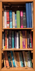 shelves with books