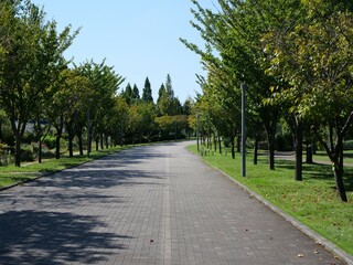 青海駅近くのシンボルプロムナード公園