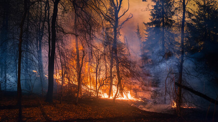 Fototapeta premium dark forest at night illuminated by wildfire, showcasing contrast between flames and smoke. scene evokes sense of danger and urgency as nature is engulfed in fire