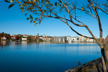 Obraz premium Reykjavik, the capital city of Iceland, in autumn,
