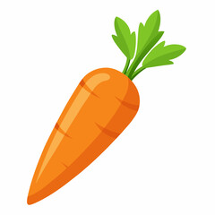 carrot vegetable 