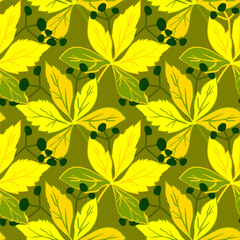 Vector - virginia creeper with berries seamless pattern.