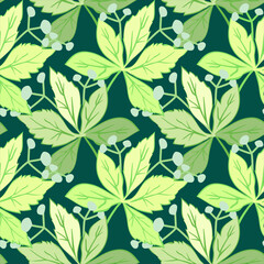 Fototapeta premium Vector - virginia creeper with berries seamless pattern.
