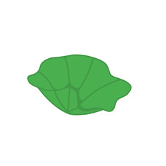 green lotus leaf 