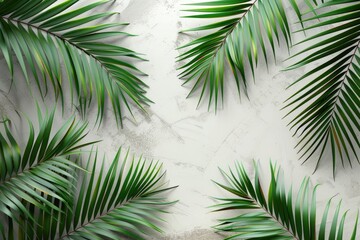 Fototapeta premium High quality tropical palm leaves on white and grey background.