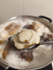Beautiful small porcini mushrooms are boiling in a saucepan.