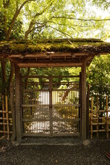 old wooden door in a garden
