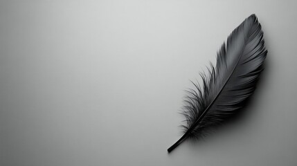 Black feather lies on a gray background, creating a minimalist and elegant composition. The image evokes a sense of simplicity and tranquility