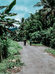 two people are walking down a road with a palm tree in the background.
