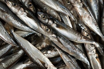 Obraz premium A group of fish piled on top of each other