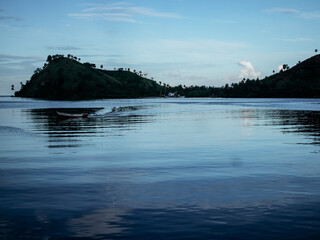 a boat is floating on a lake with a mountain in the background.