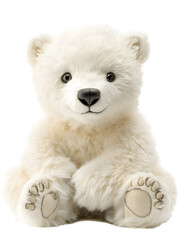 Cute baby polar bear, isolated on white background