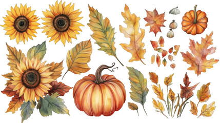 Collection of PNG. Watercolor pumpkins, sunflowers and autumn leaves, isolated on a transparency background.