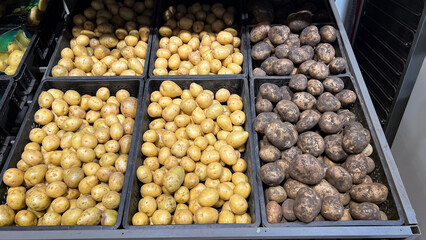 Potato. Shelf with potatoes in supermarket. Fresh organic potatoes for sale.