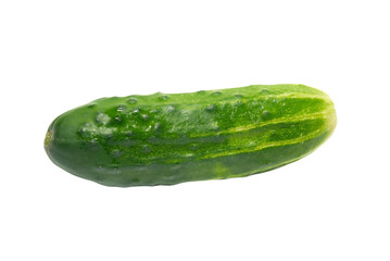 Green cucumber pickle in PNG isolated on transparent background