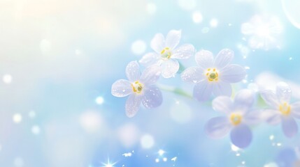 delicate forget-me-not clusters float in ethereal mist tiny five-petaled blooms in perfect symmetry, their centers golden suns dewdrops cling to petals, creating prismatic effect soft focus