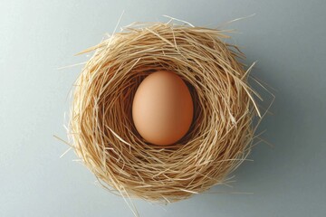A single brown egg nestled in a straw nest, symbolizing new beginnings and natural elegance. Perfect for themes of growth and nurturing.