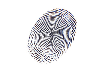 fingerprint on white background