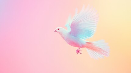 A white bird soaring through the sky with its wings outstretched