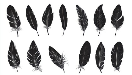 A collection of black feather icons showcasing various silhouettes and styles