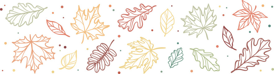 Hand drawn colorful autumn leaves outline banner or border design for greeting cards, vector fall leaf holiday decorative element, isolated