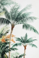 Fototapeta premium Hand-drawn Watercolor Tropical Palm Tree Landscape on White Background