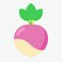 Vector silhouette of aturnip vegetable