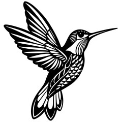 hummingbird vector