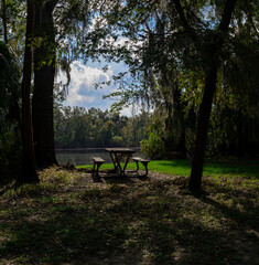 bench at the lake