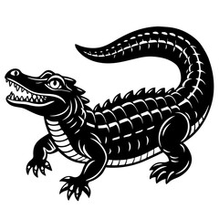 crocodile isolated on white