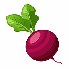 beetroot isolated on white
