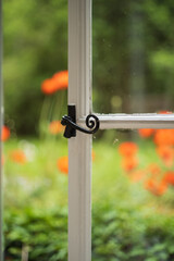 Vintage style, black metal handle with a curl, on an open white wooden window. Shallow focus with the garden in the background in a soft blur. There are poppies and grass.