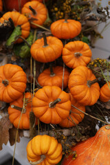 orange pumpkins in close-up, yellow leaves, autumn colors