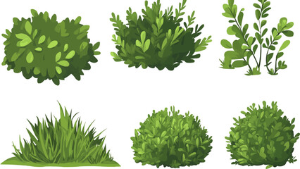 Cartoon shrub bush set. Garden green decoration bushes, illustrated hedge shrubs plants isolated on white