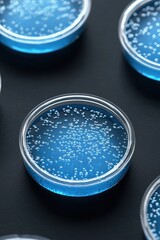 Close-up of vibrant blue agar plates filled with bubbles, showcasing microbiological cultures in a laboratory setting. Ideal for science-related themes.