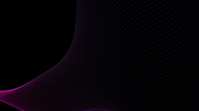 Purple and blue wave lines against black background