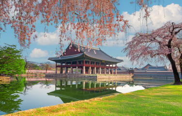 Naklejka premium Gyeongbokgung Palace with cherry blossoms in spring in Seoul, South Korea.