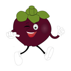 Funny Mangosteen Fruit Character with Emotions