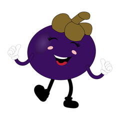 Funny Mangosteen Fruit Character with Emotions