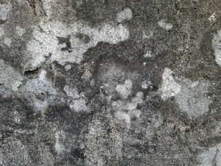 Fototapeta premium the texture of the cement wall is dirty and moldy gray
