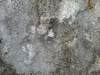 the texture of the cement wall is dirty and moldy gray