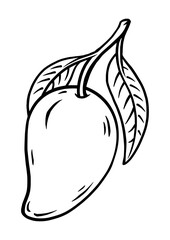 Coloring page outline of the mango vector illustration in cute line cartoon style suitable for kid